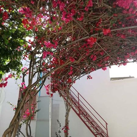 托雷拉皮罗La Casa Di Peter别墅 外观 照片